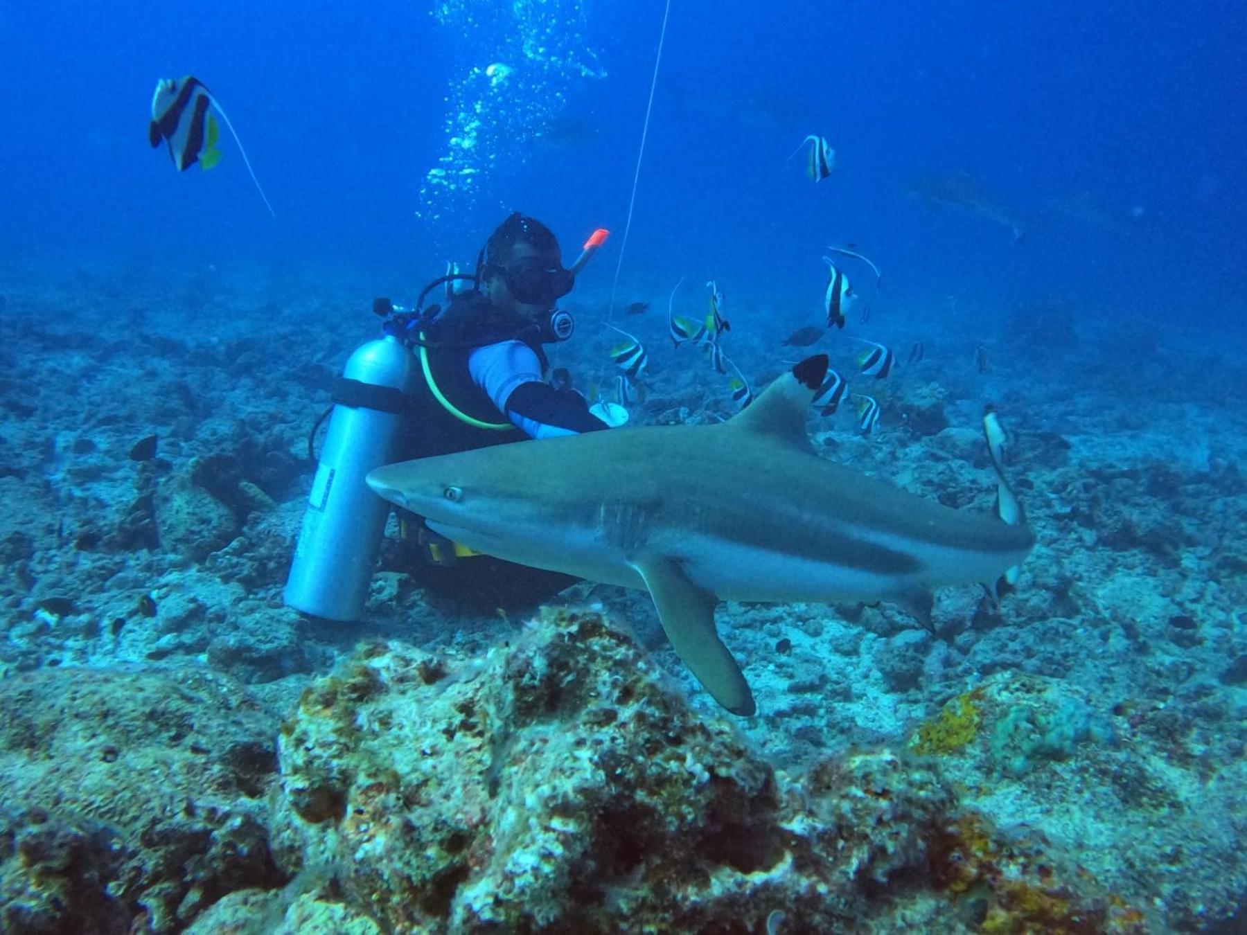 Ratu Kini Dive & Stay Mana Island Exterior photo